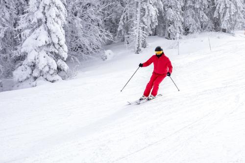 Downhill Skiing